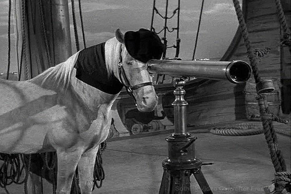 BenjaminCrew1's tweet image. A single image of Mr. Ed is more powerful than entire seasons of television made today