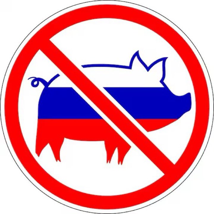 Чому моя новинна стрічка повністю забита кацапськими виродками???