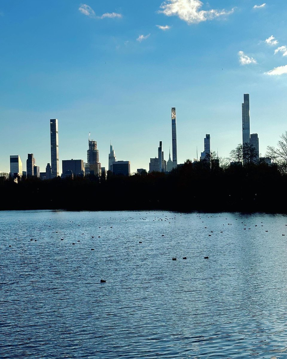 JavierMarten's tweet photo. Sleeping ducks Central Park NYC https://t.co/HJXVNXqcgO