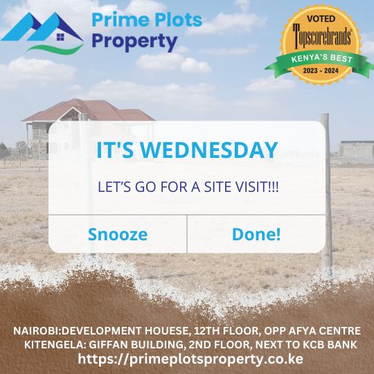 GoldenChoicePr1's tweet photo. Watch your vision unfold, stroke by stroke, until it stands tall, a breathtaking landscape of success. Happy New Year! Paint your masterpiece with Prime Plots https://t.co/lIt2GVMvKY #primeplotsproperty #happynewyear #landownership #kitengelaland #StarAcademyleLive #Bitcoin https://t.co/tD1VZCOtLk