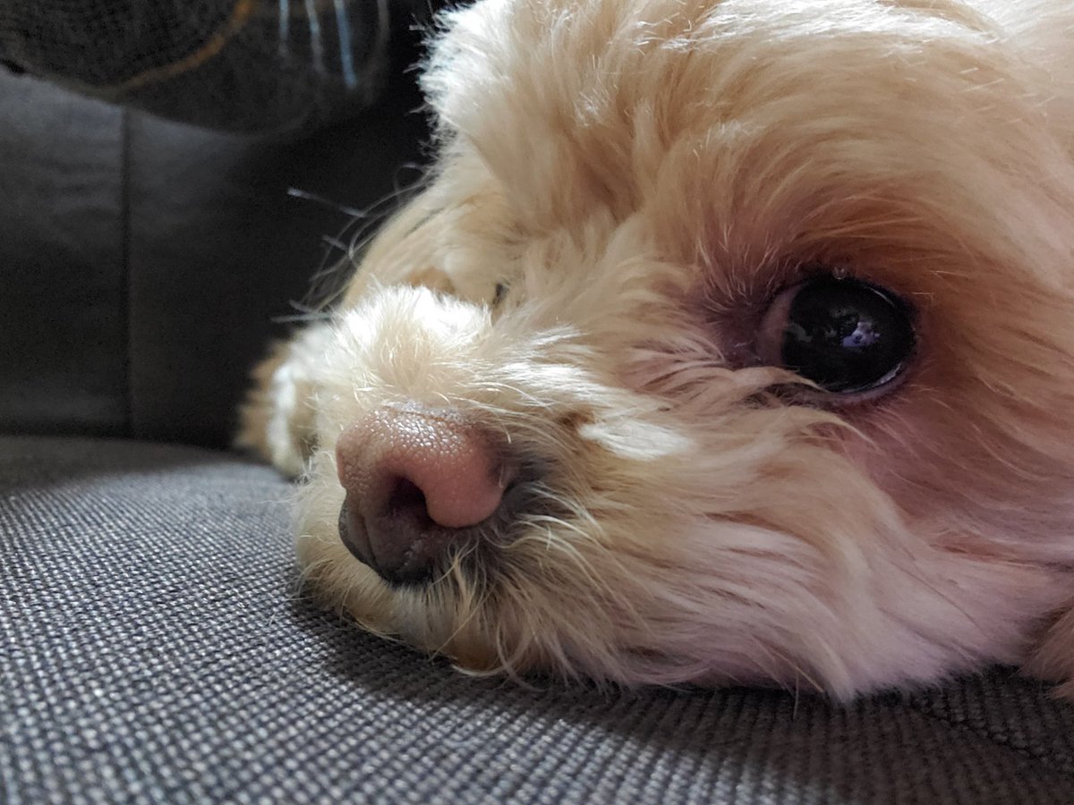 whiteedge7's tweet photo. アップで https://t.co/7PQ8TPNB4c