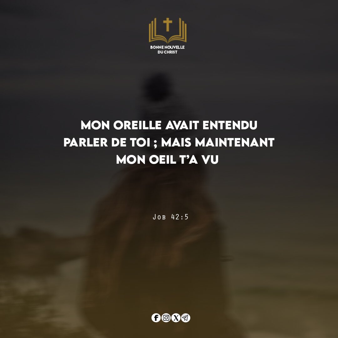 Bonne_Nouv's tweet image. En 2024, nous voulons passer de la dimension « d’avoir entendu parler de lui » à la dimension « d’avoir expérimenté sa présence ». Dieu est notre Père céleste, il est de notre droit de le rencontrer. Bonne journée en Christ 

#BonneNouvelleDuChrist  #Voir #Rencontrer #Jésus