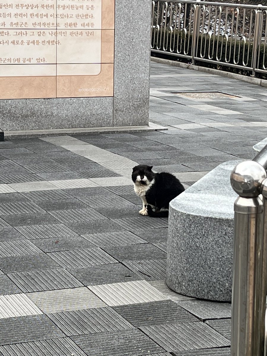 revolvesaround's tweet photo. hyungu 2024 cat pics!!! 😣 https://t.co/Fm4pW5SDSZ