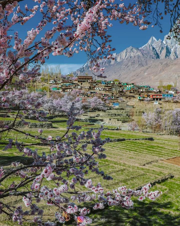 TelFu0's tweet photo. Home is the starting place of love, hope and dreams.
#Machulu #GilgitBaltistan #Pakistan #hometown #จดหมายปรีดี #Japan https://t.co/ngJ34QsEwB