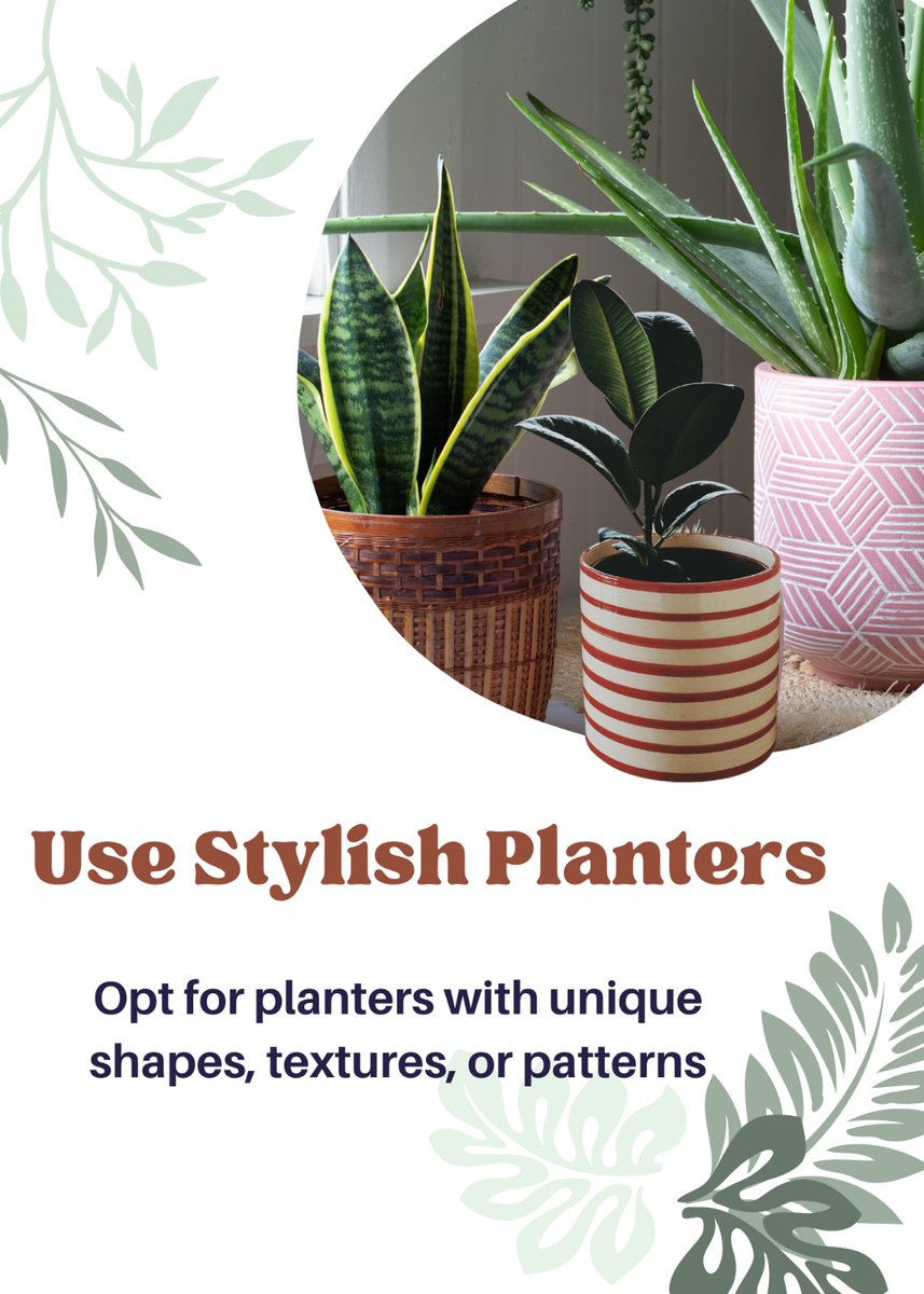 UrbanMali's tweet photo. Elevate Your Indoor Space with a Stunning Plant Display! 🏡🌟 Whether you're a plant enthusiast or just starting your green journey, creating an aesthetically pleasing indoor oasis is simpler than you think.

#IndoorPlants #LowLightPlants #GreenLiving #UrbanJungle #UrbanMali https://t.co/v80MCffeD1