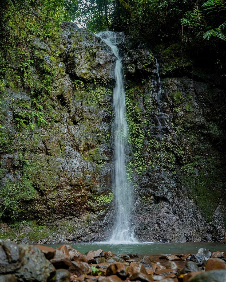 ProFormFrance's tweet image. Préparez-vous à explorer davantage l&apos;Australie avec John Peel et Shannon Cooper ! 🇦🇺

l8r.it/98Q5 🔗

#ProForm #ProFormFitnessFR #iFIT #tapisdecourse #velo #rameur #elliptique #fitness #workout #france #homegym #running #wellness #entrainement