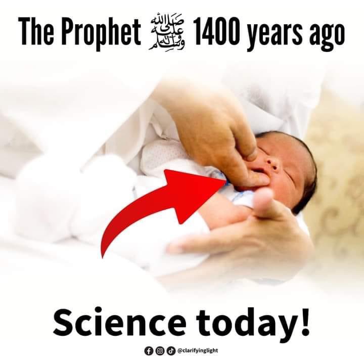 Mahdiii365's tweet photo. Over 1400 years ago, when a child was born, the Prophet ﷺ made it his Sunnah (practice) to take a small part of a date and place it in the newborn's mouth. He would chew it until it was soft and then rub it onto the palate of the baby. This is called Taḥnīk.

'Today', BBC News has reported that experts have said: "A dose of sugar given as a gel rubbed into the inside of the cheek is a cheap and effective way to protect premature babies against brain damage." 

This is why Muslims follow the Sunnah of Rasūlullāh ﷺ without questioning it. Science is only now discovering a tradition that was introduced 1400 years ago because Islām was and still is the forefront of development.