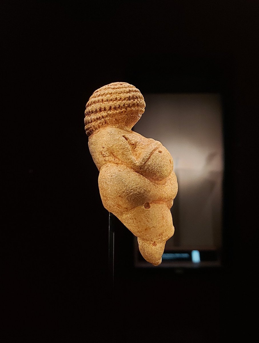 A masterpiece of Paleolithic art, made some 29,500 years ago: the famous Venus of Willendorf. The figurine (height 11.1 cm) is made of oolitic limestone, traces of a pigment, red ochre, can still be seen. Much has been written about the figurine, the interpretations have...1/2
