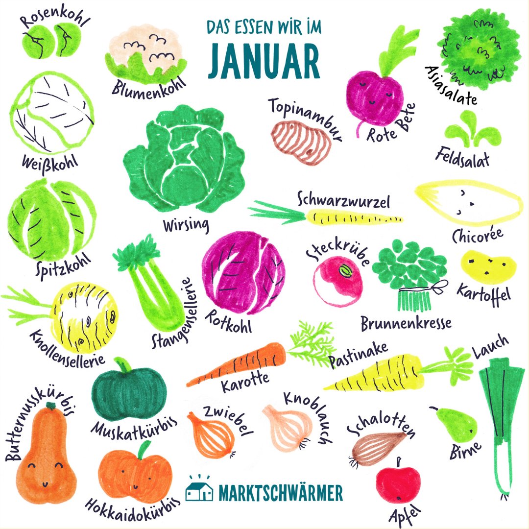 Nutzte auch im neuen Jahr unseren Saisonkalender, um möglichst frisch und regional einzukaufen.😜 So unterstützt du nicht nur eine nachhaltige Landwirtschaft, sondern genießt auch die Vorzüge einer gesunden und abwechslungsreichen Ernährung. 🌱🛒