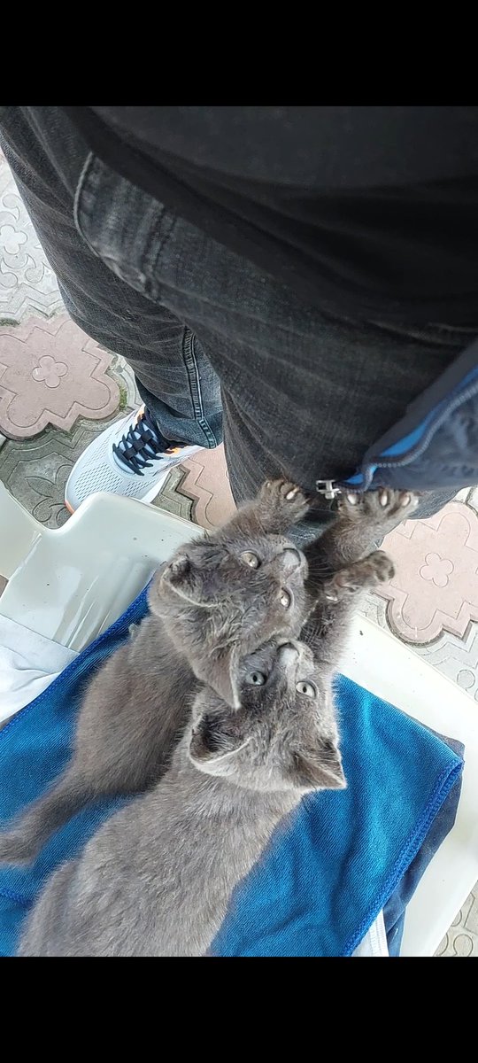 Доброе утро. Кому утренних потягусей 🫶