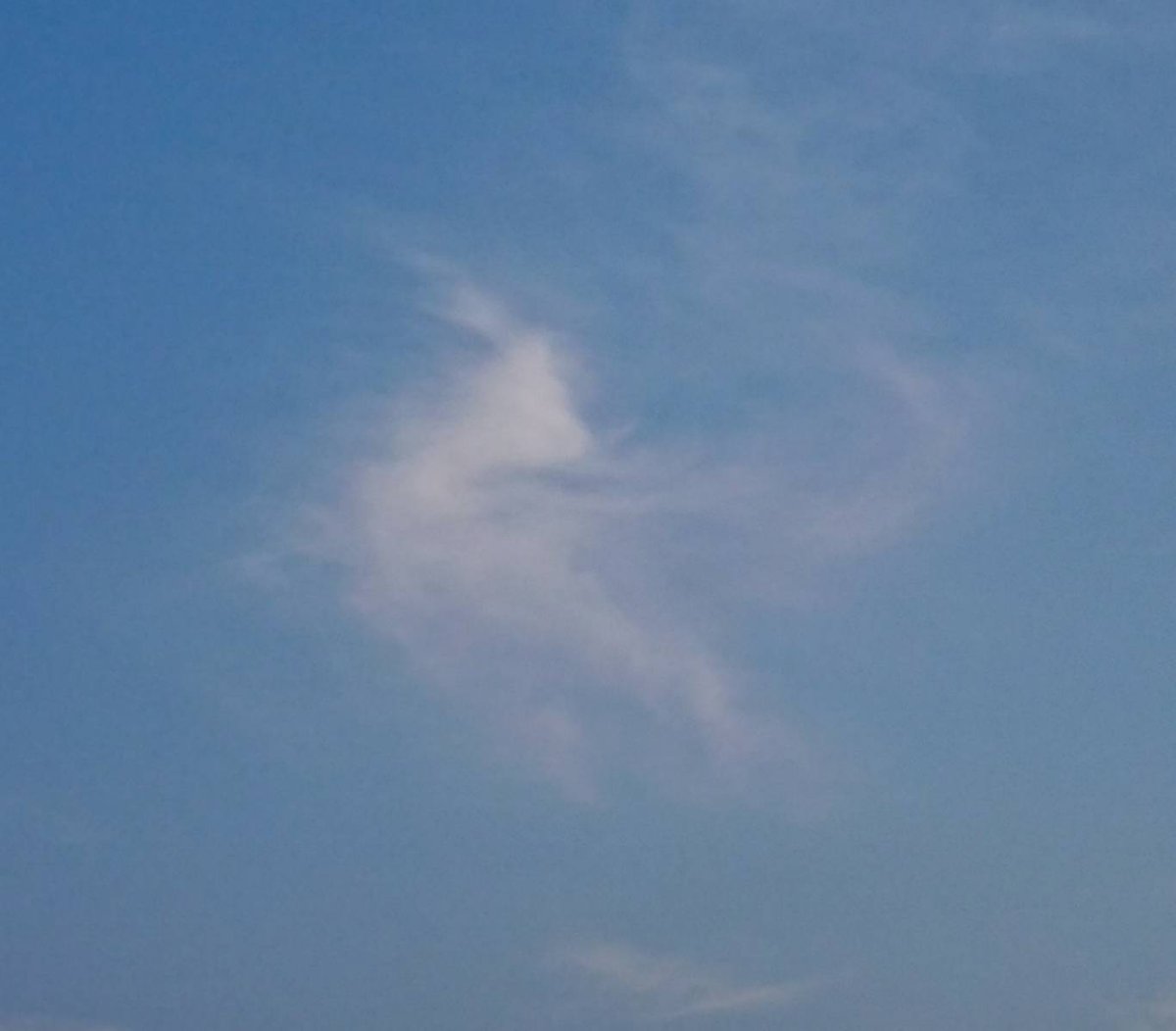 moku086's tweet photo. この雲　何に何に見えますか？ https://t.co/hCFnL8meHJ