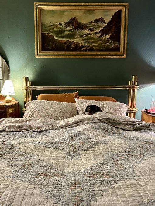 It&rsquo;s really her bed, but she lets me sleep here too. https://t.co/Hr6nUN0oN3