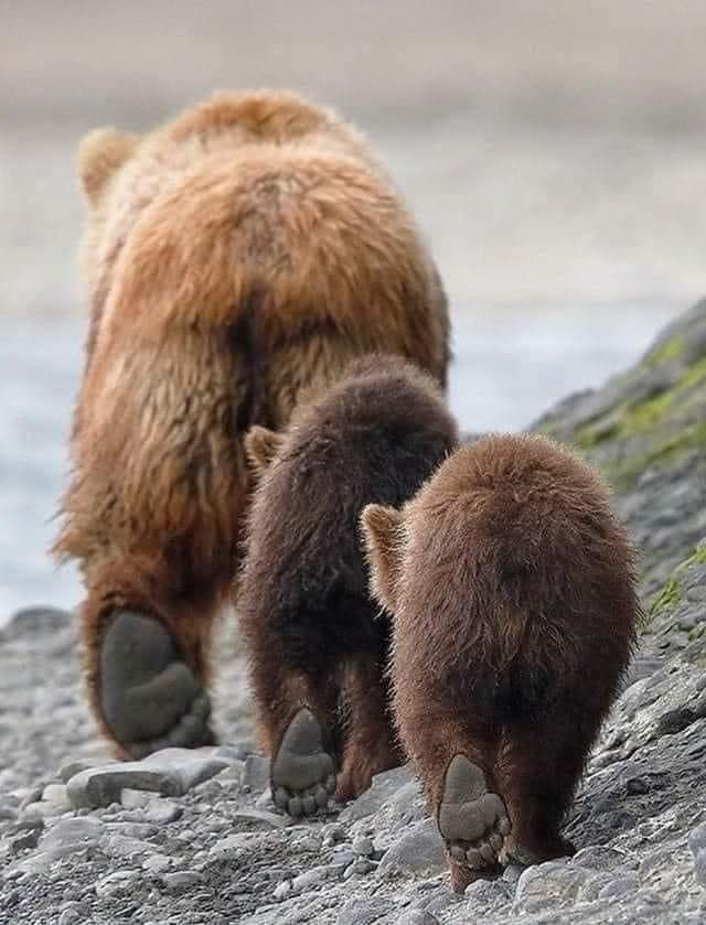 SearchRapusia's tweet photo. Look at those feet 😍 https://t.co/T5KUKW9pux