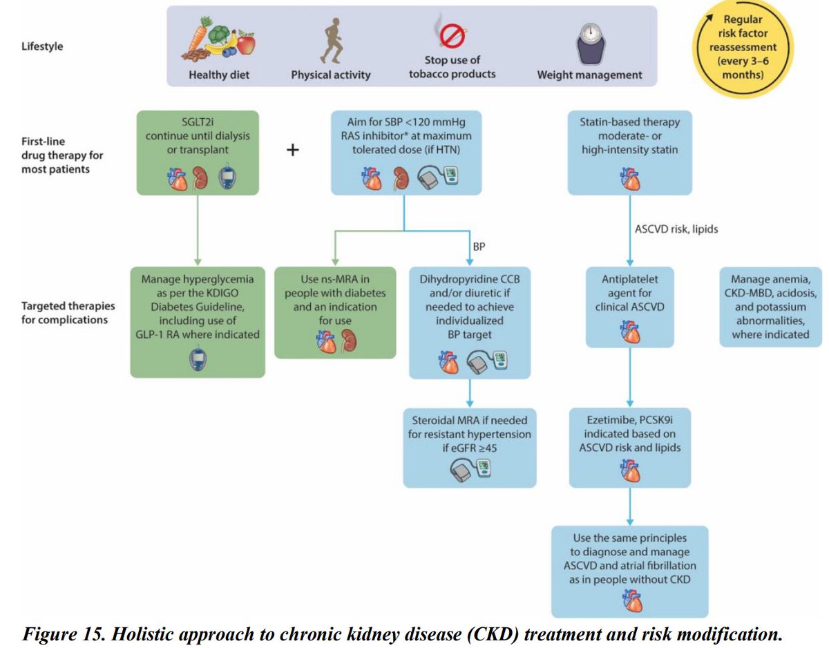 edgarvlermamd's tweet photo. Holistic approach to chronic kidney disease (CKD) treatment and risk modification from @goKDIGO #Nephpearls

👉 https://t.co/S8ya3Np1Hn https://t.co/5gAy8lyDIb