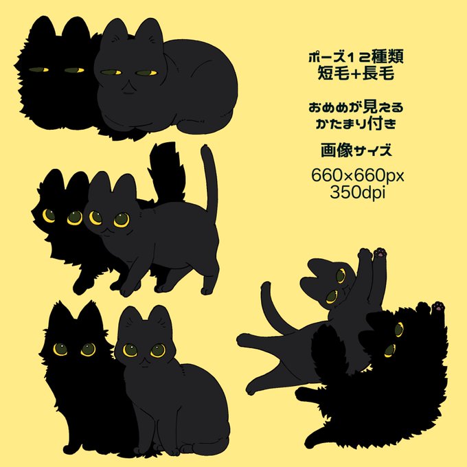 「黒猫 猫」のTwitter画像/イラスト(新着)｜21ページ目