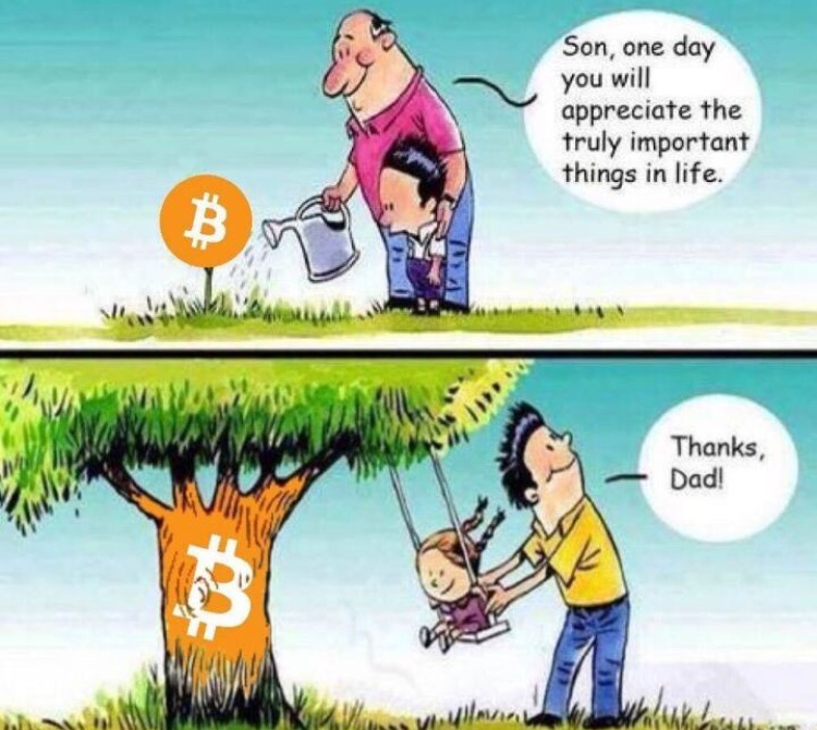 CrytoPedri70274's tweet image. 🎈🔑🎁💊✅
All thanks to #Bitcoin #Japan #TweTwe #DartsWM