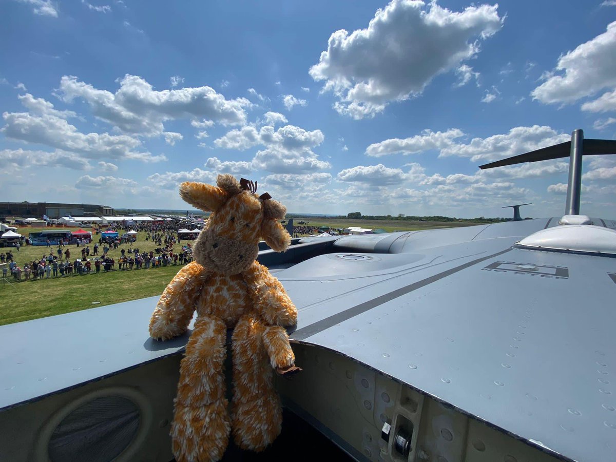 Giraffes On Tour™ tweet media