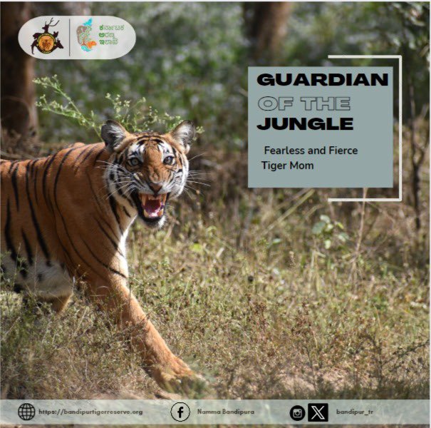 "Guardian of the Jungle: Fearless and Fierce Tiger Mom 🐅🌿"