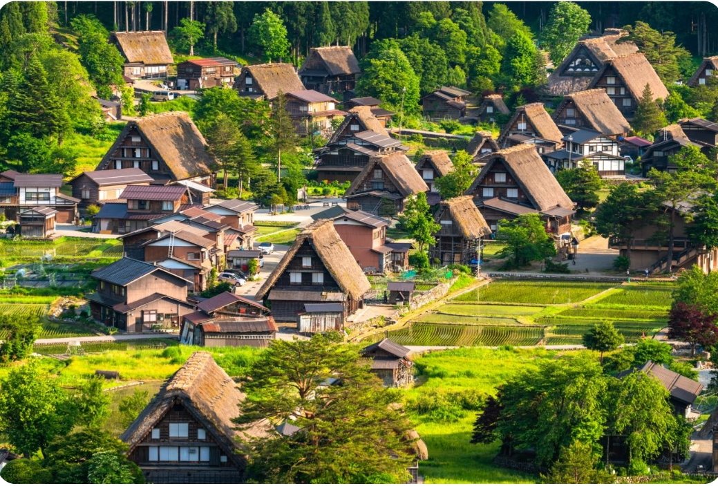 A Shirakawa-go in #Giappone, le case del villaggio hanno un tetto robusto, costruito con miscanthus,un tipo di erba resistente, e con una pendenza di circa 60 gradi. È fatto senza usare nemmeno un chiodo, a tenere le travi e i sostegni insieme sono solo corde e cavicchi di legno.