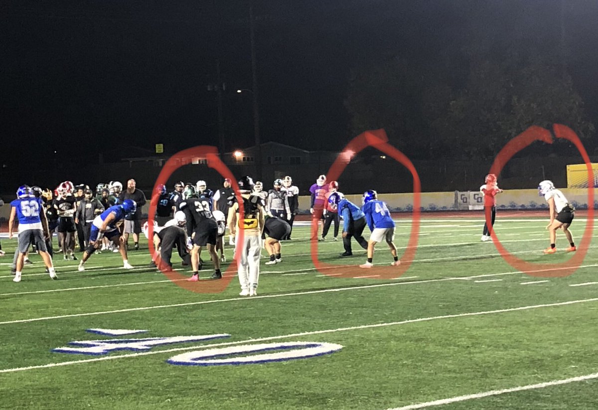 Mark the Shark tweet media