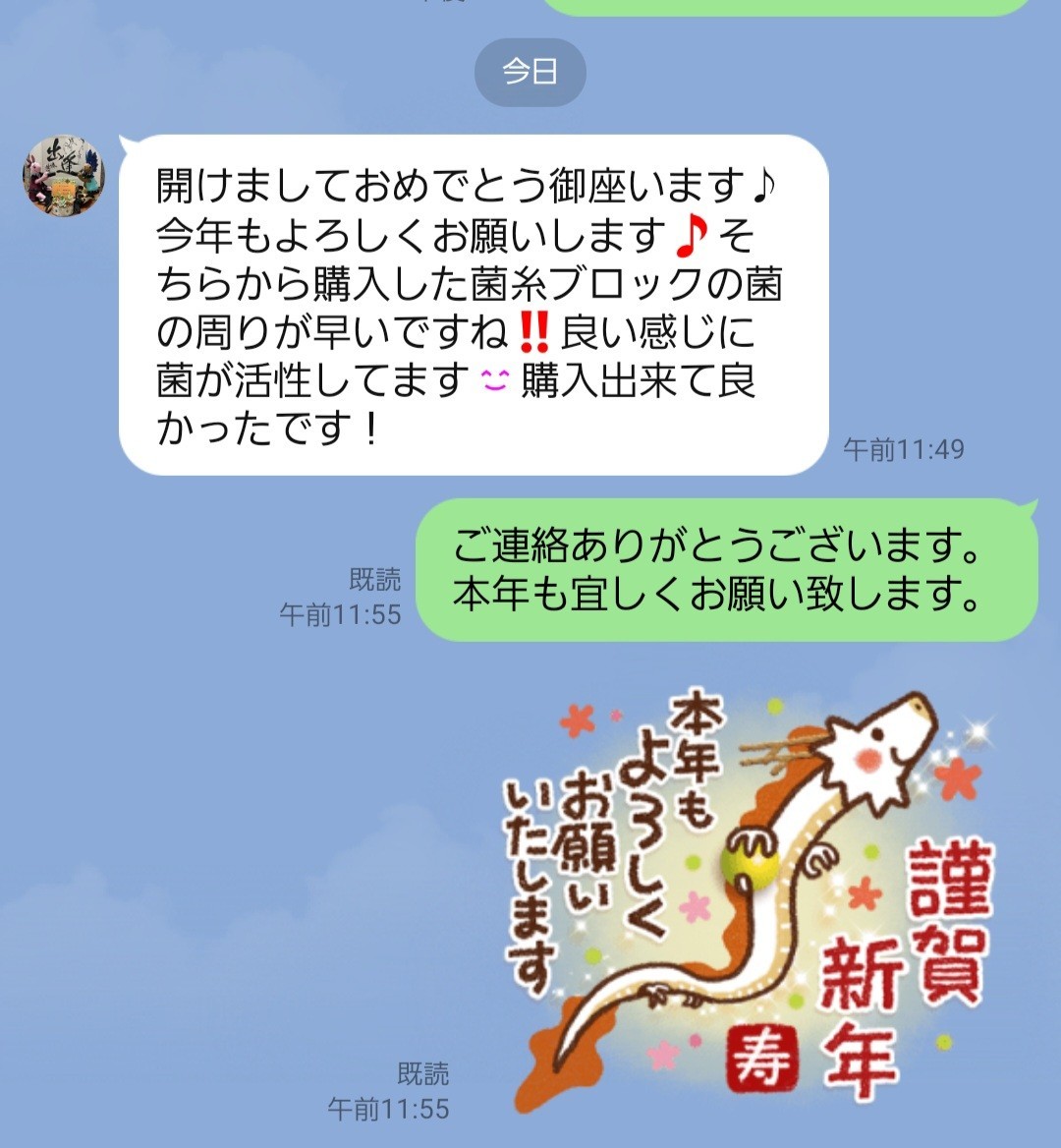 最強のカブトムシ☆クワガタマット作ってます 最強のカブトムシ☆クワガタマット作ってます