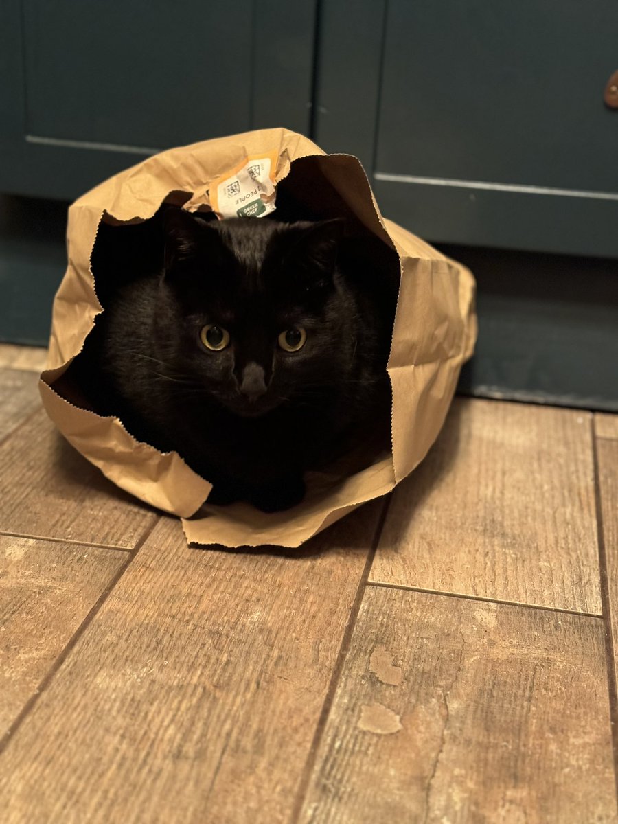 Yes the <a href="/greenchefuk/">greenchefuk</a> bags are super comf