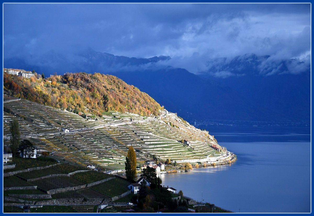 Martin Vetterli tweet media