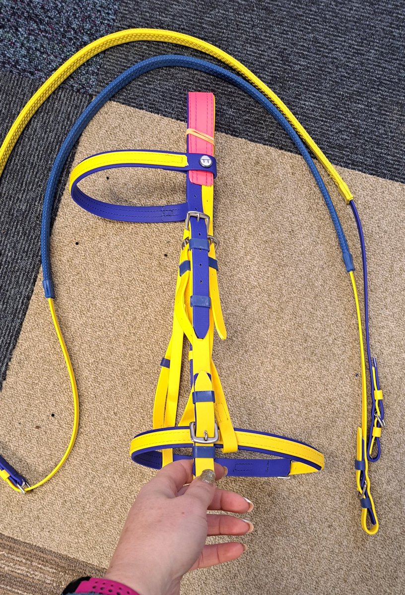 talkintack's tweet image. First job of the year was making a Synthetic pony bridle for a 6yr old little girl, she wanted colourful an their x-country colours are yellow an blue. Hope she likes it for her Birthday next week!