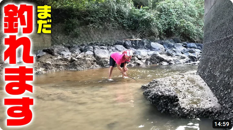 muscles_power's tweet photo. #釣りいろは #FishingLife #Fishing #Fish #Outdoors #OutdoorLife #FishingYoutuber #LureFishing #WinterFishing #EelFishing #Sagaprefecture #KashimaCity
うなぎの穴釣り‼️
He put the tip of his rod into a hole in a cold winter river and caught an eel.
https://t.co/YuJGTnTVr3 @YouTube https://t.co/b1Ay0IlEpG
