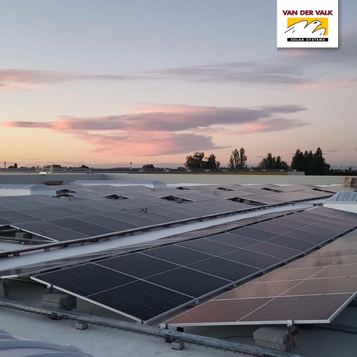 valksystemen's tweet photo. 𝗩𝗮𝗹𝗸𝗦𝗼𝗹𝗮𝗿𝗣𝗿𝗼𝗷𝗲𝗰𝘁

Systeem: ValkPro+ East-West
Omvang: 1300 kWp
Locatie: Italië, Bologna
Aantal panelen: 2824 panelen
Installateur: Cubi impianti Tecnologici

We zijn er trots op om deel uit te maken van dit  project!

#valksystemen #valksolarsystems #valkpro+ https://t.co/mYvQD85ZTy