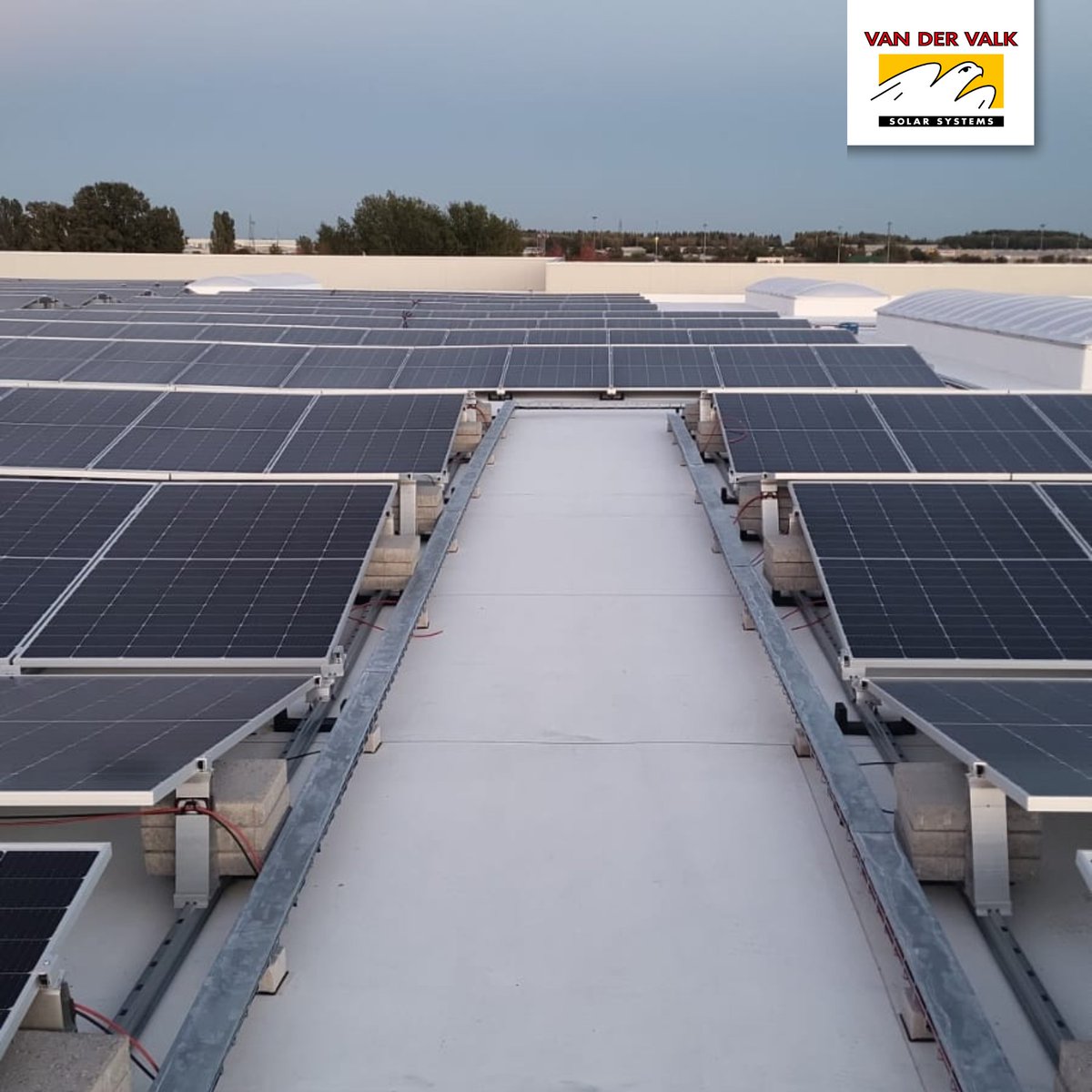 valksystemen's tweet photo. 𝗩𝗮𝗹𝗸𝗦𝗼𝗹𝗮𝗿𝗣𝗿𝗼𝗷𝗲𝗰𝘁

Systeem: ValkPro+ East-West
Omvang: 1300 kWp
Locatie: Italië, Bologna
Aantal panelen: 2824 panelen
Installateur: Cubi impianti Tecnologici

We zijn er trots op om deel uit te maken van dit  project!

#valksystemen #valksolarsystems #valkpro+ https://t.co/mYvQD85ZTy