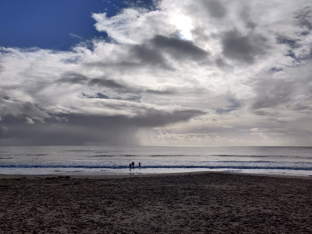 Tracy Lyons 🌍 Pharmacy Declares! tweet media