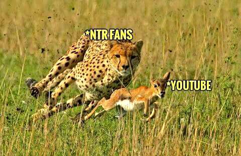 JrNTRFC's tweet photo. Last 5 Movies Teaser Records 👇
#Nannakuprematho Teaser Both Views & Likes Record in 24 hrs 🔥
#Janathagarage Teaser Both views & likes Record 🔥
#JaiTeaser reaches 100k likes in 100 Mins & First teaser to reach 20M views record 🔥
#AravindhaSametha Fastest 50k likes Record 💥💥
#Bheem Teaser Fastest 100k to 1 Million likes record & First teaser to reach 50M views Record 🔥🔥
#DevaraGlimpse @tarak9999