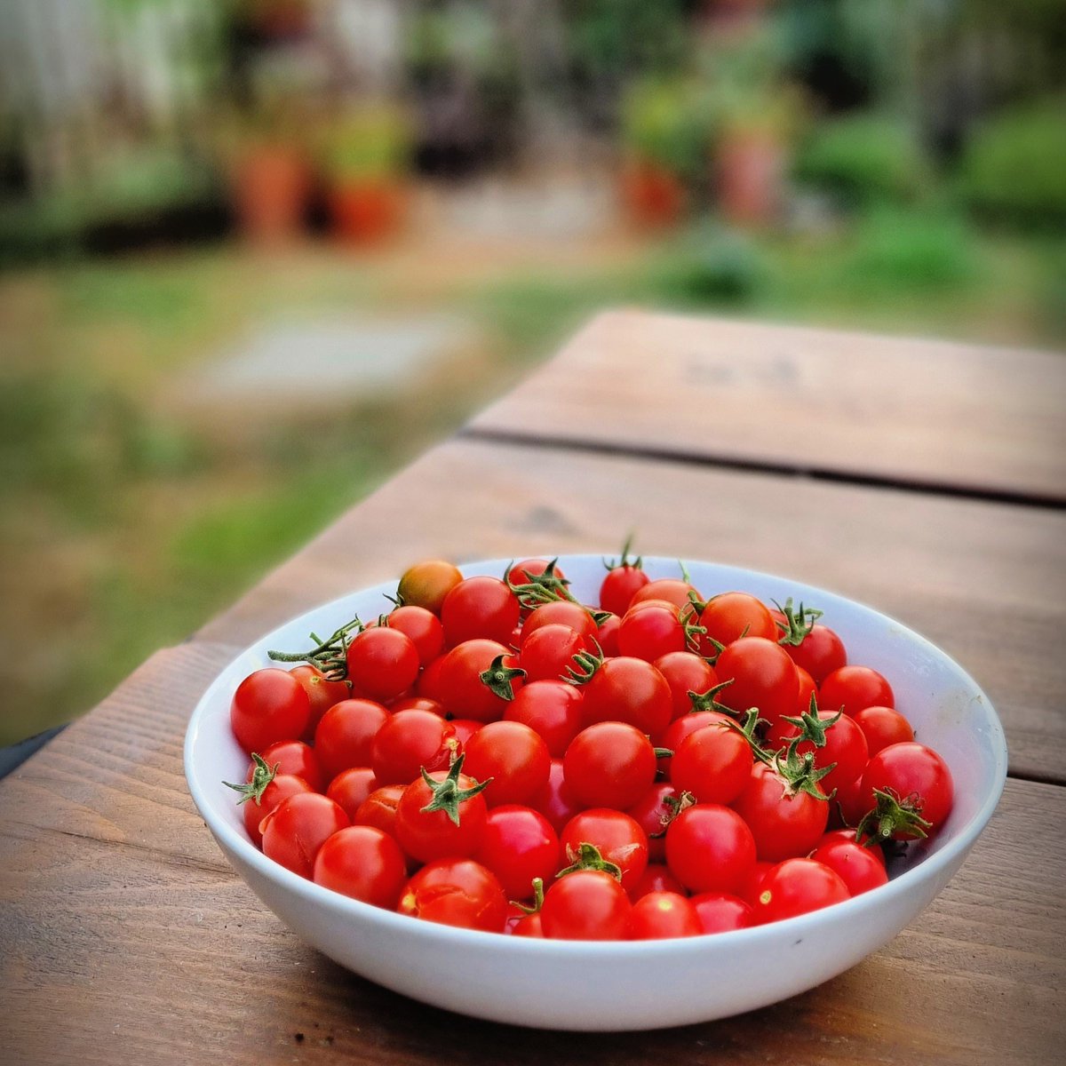 Dalefoot Composts tweet media