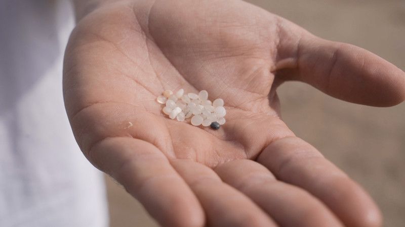 💡@FaunaFloraInt's #TanyaCox: 'We have this massive source of #Microplastic #Pollution out there, and it seems like no one cares about it. It's as if these pellets were invisible' 🥤

buff.ly/3S4cAzI

#SavingNatureTogether #PlasticPellets