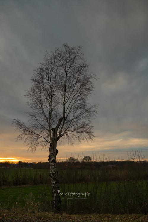 Marianne Rouwendal🌿 tweet media