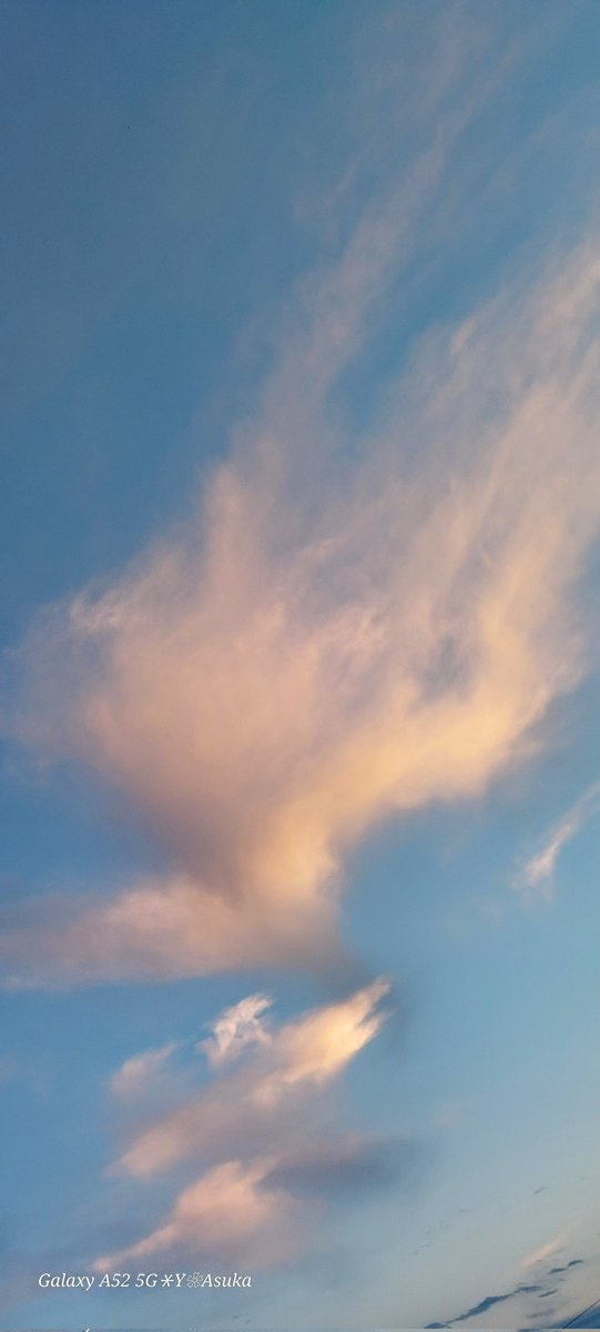 yumeasutw's tweet photo. #青空 が広がる穏やかな日の入り
モフモフの #巻雲 が
夕日を浴びてほんのり桃色
#イマソラ #いまそら
#お疲れ様です
#空の名前
#天気の図鑑 #雲の超図鑑
#気象のはなし
#空 #空が好き #空が好きな人と繋がりたい
#空と雲 #雲 #雲が好き
#a2024 #a0103 #a202401 #a2024011 https://t.co/Edmbv1QNQa