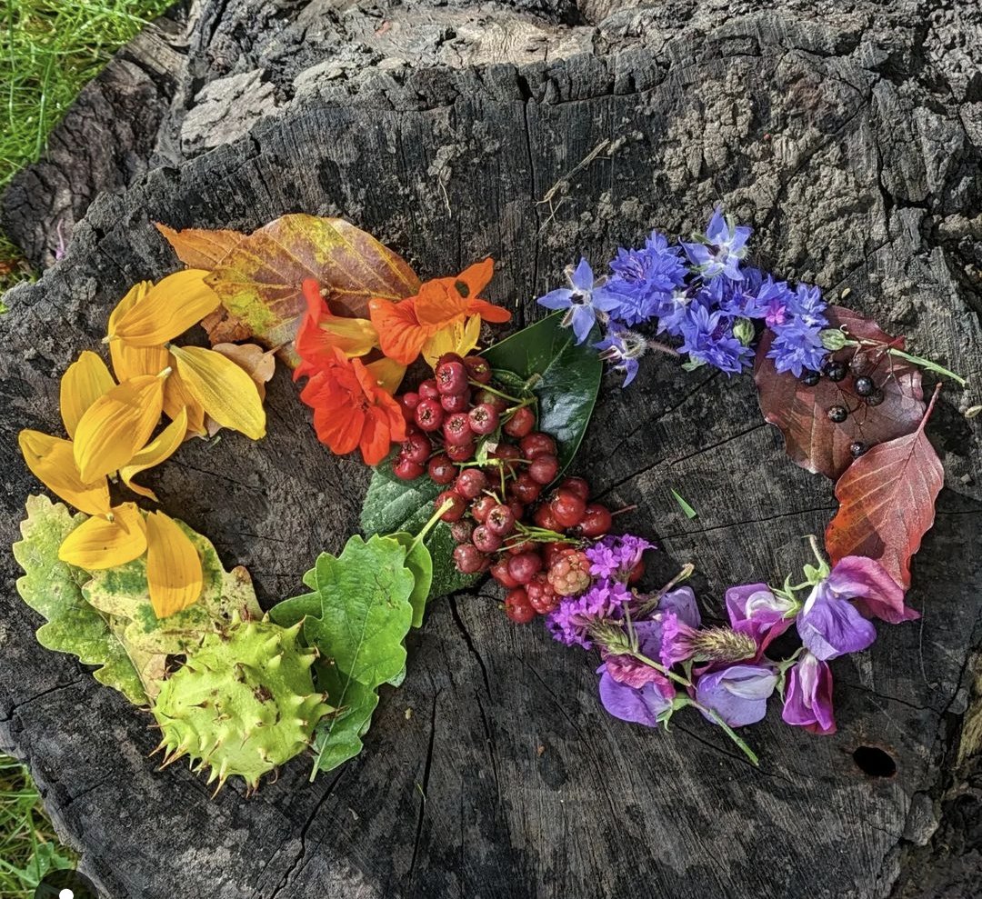 Emily Whiteley tweet media