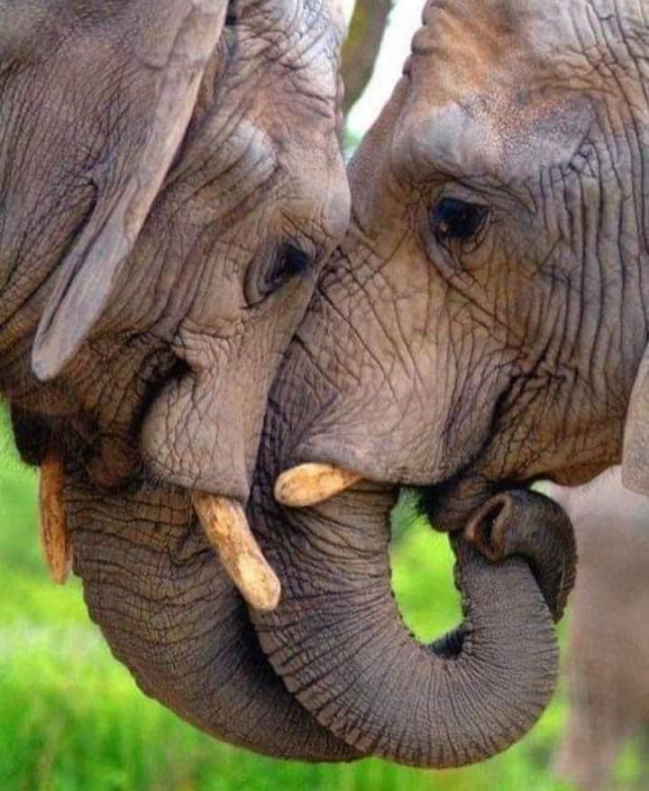 fredi999's tweet photo. pic of the day... bon dia, good day... 😄🥰😋 https://t.co/2Npvo1JBtB