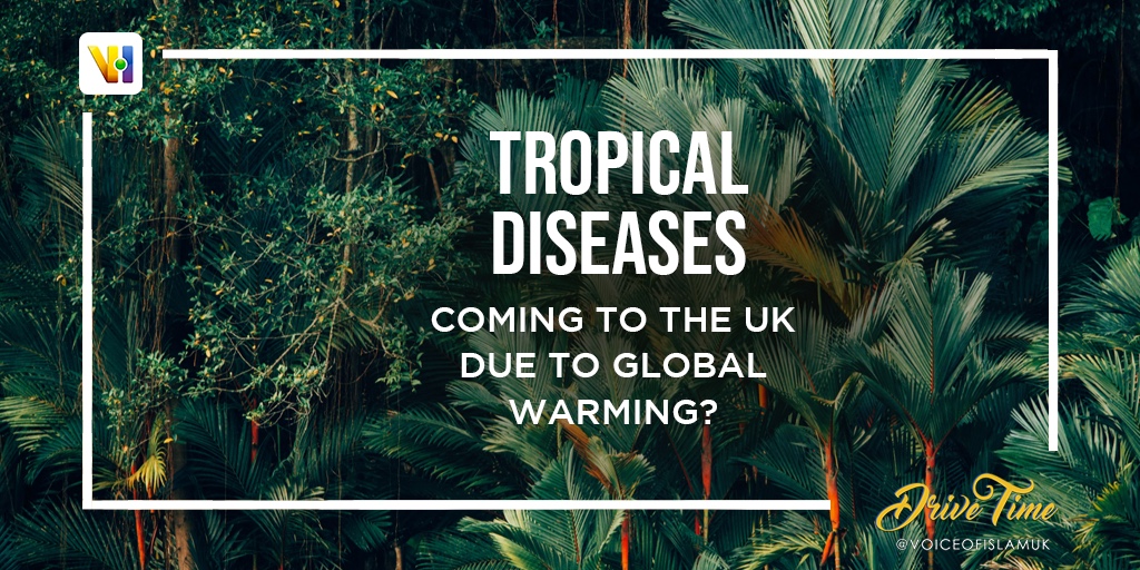 VoiceOfIslamUK's tweet photo. What new viruses could become a norm as temperatures rise in the UK?

LIVE from 4pm GMT #tropicaldiseases

https://t.co/2Jcm3To7uD https://t.co/lxYXauZkpp