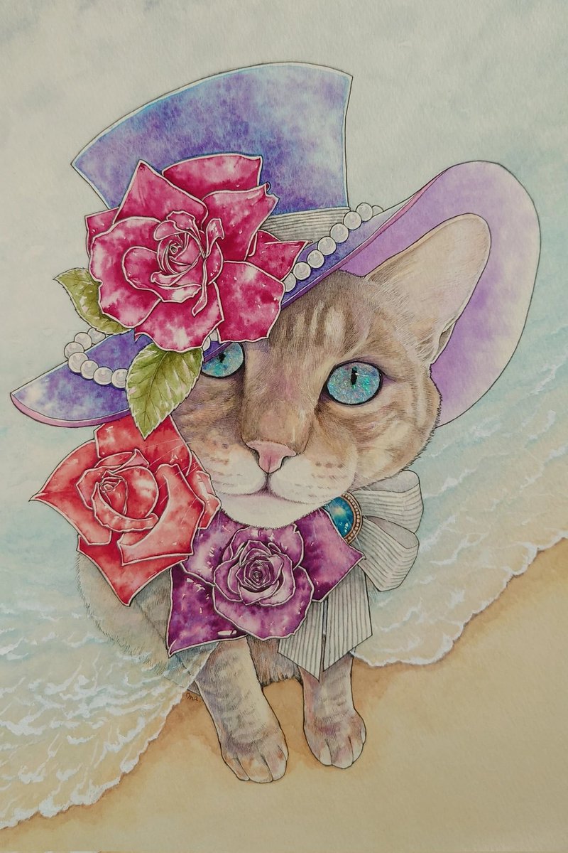 hat flower no humans rose traditional media animal focus cat  illustration images
