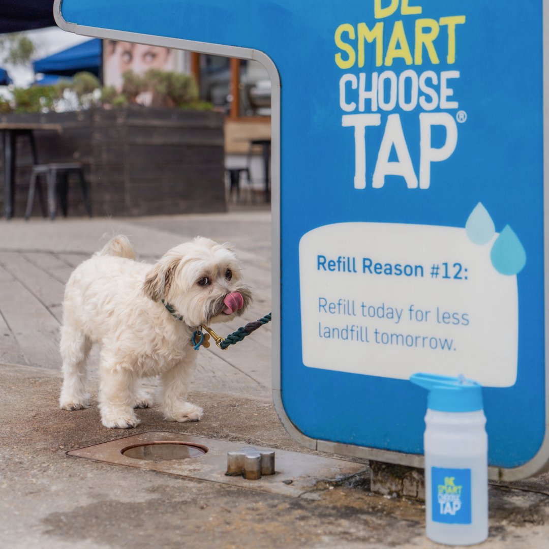GwwVic's tweet photo. ๐๐ฆ Planning a splash at Williamstown Beach these holidays? Our free water fountain's here to quench your thirst.
And for your four-legged friends we've got a doggy bowl that's pawsitively perfect. ๐พ
Find your nearest water fountain ๐ https://t.co/44ONKpnx0I https://t.co/h8sE6f6U25