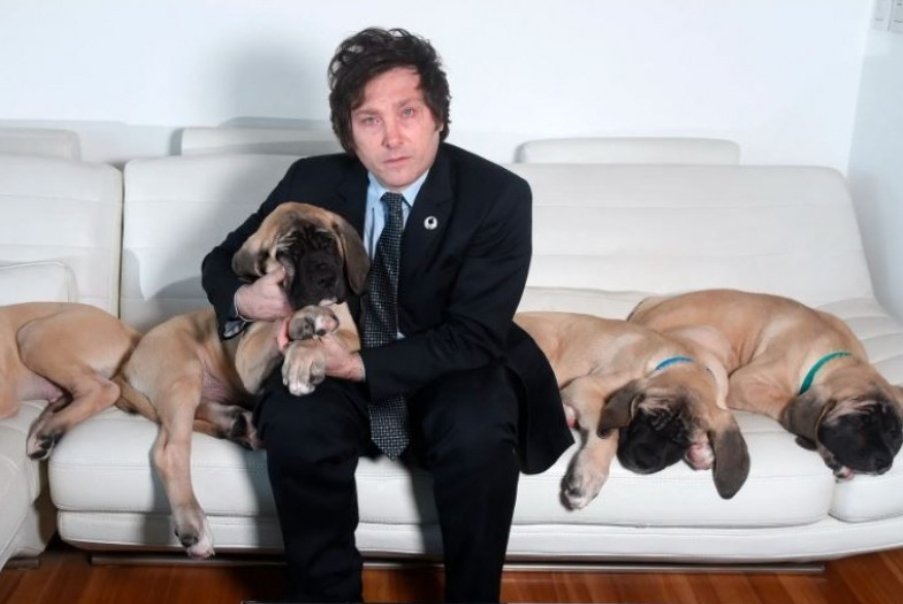 vict0camp0's tweet photo. . @JMilei no se puede mudar a Olivos sin sus perros, por eso vive en el Hotel Libertador sin sus perros, que justamente no tiene libro de entradas para que sepamos quiénes lo visitan... ¡qué raro todo! https://t.co/zNp8aqTGPG