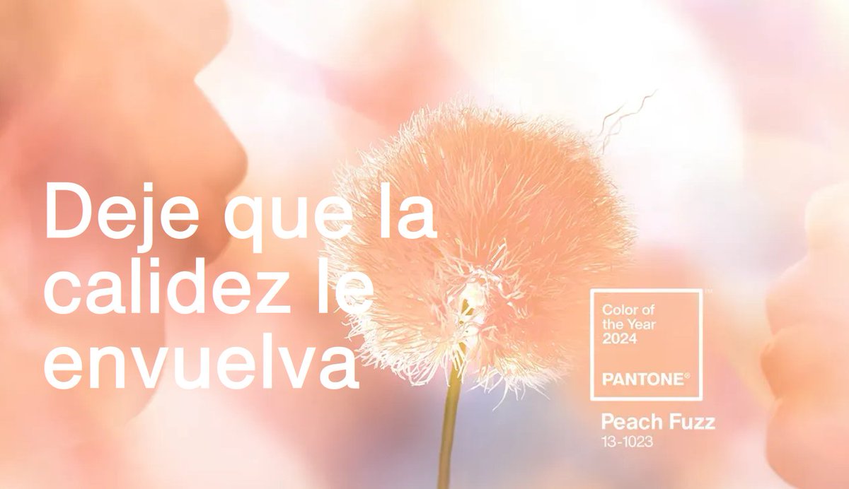 avanzainternet's tweet image. ¿Sabes ya cuál es el color @pantone para este 2024?🤔 Nosotros te lo contamos: el Peach Fuzz, es un tono melocotón suave y aterciopelado que rebosa #calidez y elegancia😍
A nosotros nos encanta, ¿tú qué opinas?
#felizmartes #colorpantone2024 #pantone 

pantone.com/eu/es/color-of…