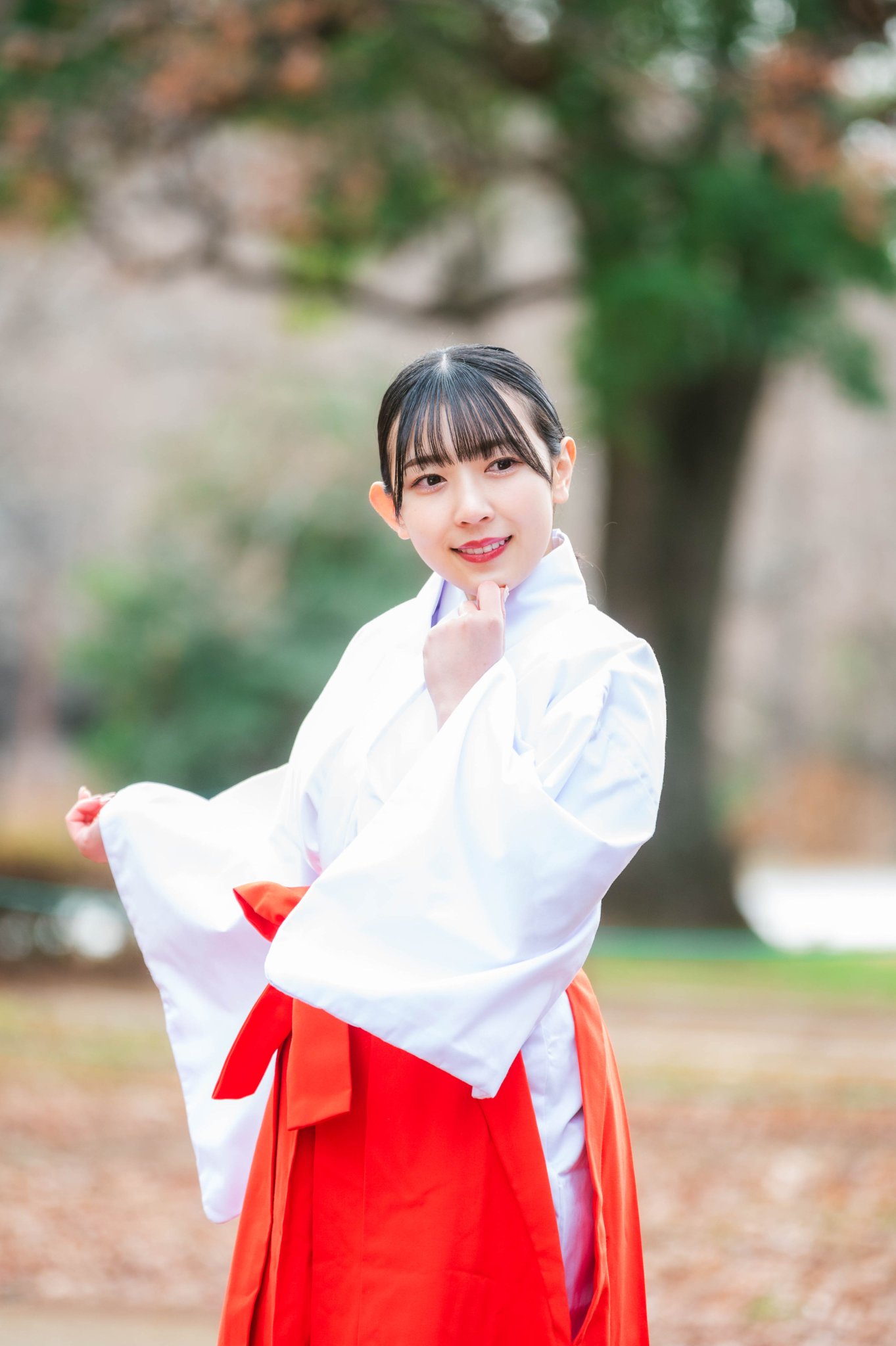 せいじ🌿 on X: 