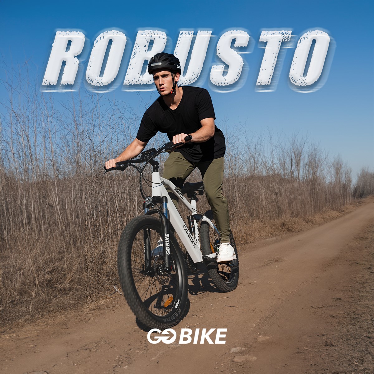 🚴‍♂️ Explore more with GOBIKE ROBUSTO! 750W power, full suspension, 26' tires for all terrains.

🚀 Lightweight, durable, and smooth 7-speed shifting. Ready for any adventure!

#ElectricGoBike #RideTheAdventure #OffRoadBiking #EbikeLifestyle #AdventureCycling