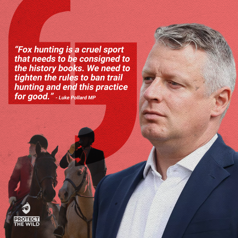 Protect the Wild tweet media