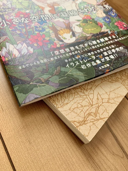 作品集『#孝夫印画』がお手元にある皆様、表紙カバーは外してみましたか?僕はこの外した下に別の絵があるのが好きなんです。ですので今回自分の本でもしっかりこの部分に絵をご用意しましたよ  ▼作品集発売中! 