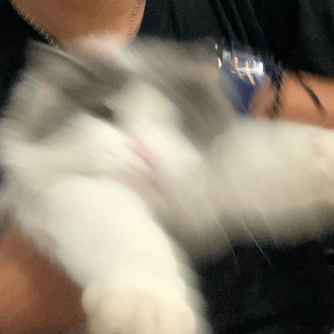 niko tweet media