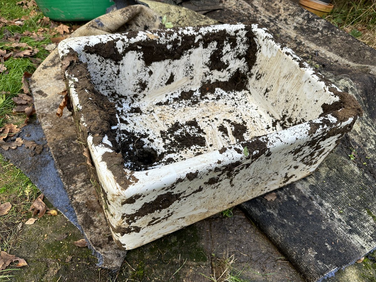 Jamie Smart tweet media